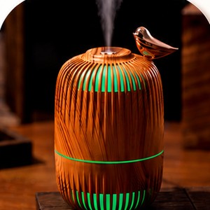 Dreambird Aroma Diffuser setup step: start
